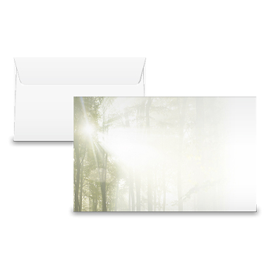Couvert «Lebenslicht»,  Licht von Sonne im Wald 