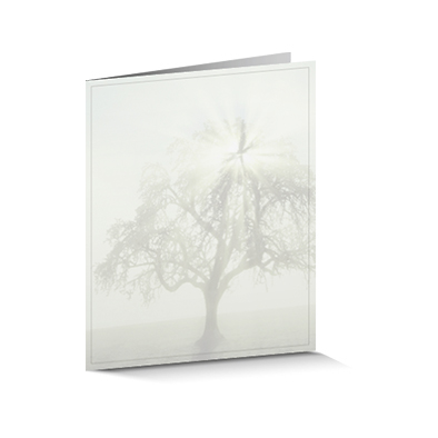 Trauerzirkulare «Stille»,  Baum mit Lichtstrahlen 
