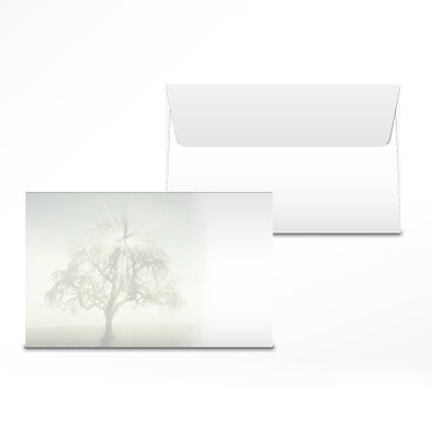 Couvert «Stille»,  Baum mit Lichtstrahlen 