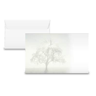 Couvert «Stille»,  Baum mit Lichtstrahlen 