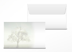 Couvert «Stille»,  Baum mit Lichtstrahlen