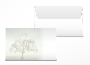 Couvert «Stille»,  Baum mit Lichtstrahlen